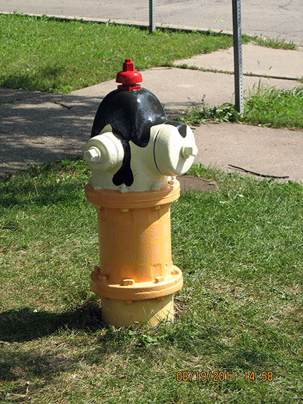 Harvard and Kenilworth Fire Hydrant